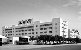 段永平 oppo vivo真正的幕后大老板,他才是人生大赢家